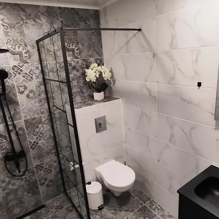 вивиан - модерна за гости *