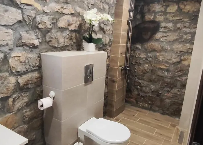 вивиан - модерна за гости