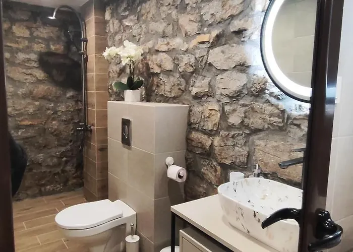 вивиан - модерна за гости Reselets