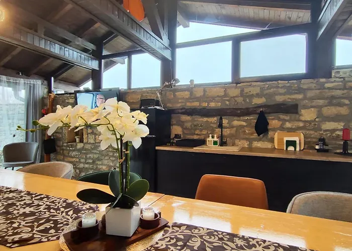 ヴィラ вивиан - модерна за гости *