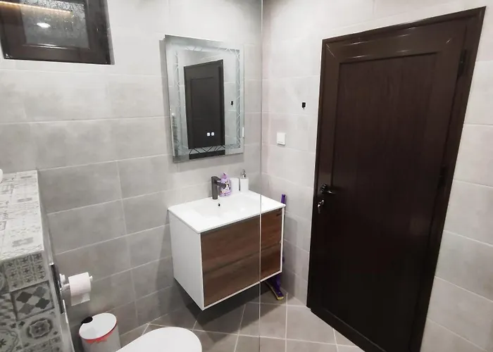 вивиан - модерна за гости ヴィラ